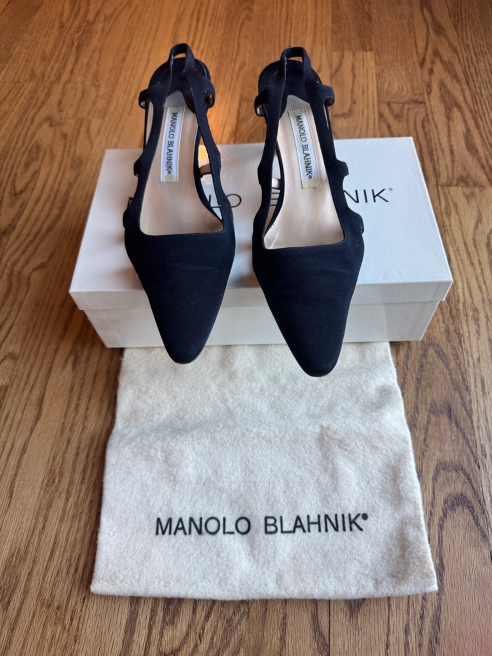 Manolo Blahnik Navy Pointed Slingback Pumps with T-Strap Detail